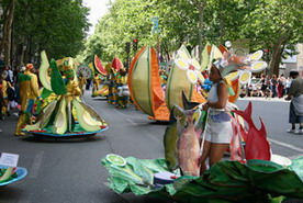 Les meilleurs photo du carnaval de Paris sur www.kamaniok.com