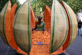 Les meilleurs photo du carnaval de Paris sur www.kamaniok.com