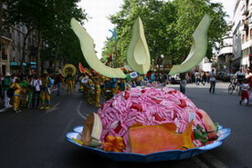 Les meilleurs photo du carnaval de Paris sur www.kamaniok.com