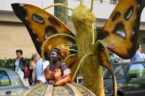 Les meilleurs photo du carnaval de Paris sur www.kamaniok.com