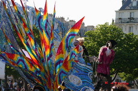 Les meilleurs photo du carnaval de Paris